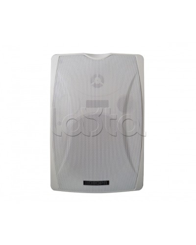 IP-громкоговоритель DSPPA POE-6463W в Старом Осколе Система оповещения и трансляции Dsppa Pintop.ru