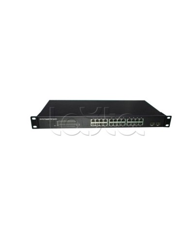 PoE-Коммутатор EverFocus ACE-224PG в Старом Осколе Коммутаторы Pintop.ru